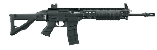 SIG556 Classic SWAT, Quad Rail Forend