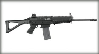 Sig Sauer Patrol w/Swiss stock and handguards