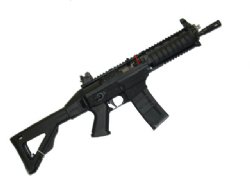Sig Sauer Classic SWAT Short Barrel Rifle (IOP Sales)