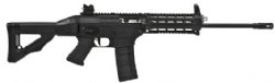 SIG556 SWAT Patrol Carbine